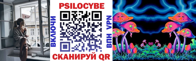 shop как зайти  Дудинка  Галлюциногенные грибы Psilocybe 